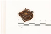 登錄號:B00017950藏品圖，第1張