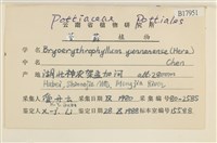 登錄號:B00017951藏品圖，第2張