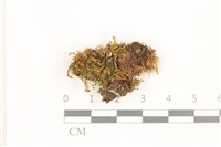 登錄號:B00017951藏品圖，第1張
