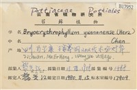 登錄號:B00017952藏品圖，第2張