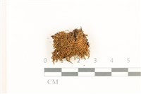 登錄號:B00017953藏品圖，第1張