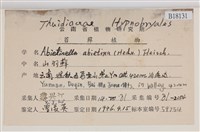 山羽蘚藏品圖，第2張