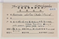 山羽蘚藏品圖，第2張