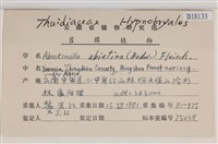 山羽蘚藏品圖，第2張