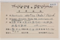 山羽蘚藏品圖，第2張