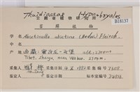 山羽蘚藏品圖，第2張