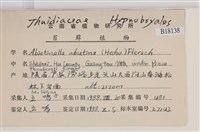 山羽蘚藏品圖，第2張