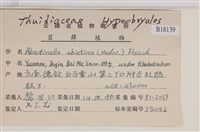 山羽蘚藏品圖，第2張