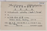 山羽蘚藏品圖，第2張