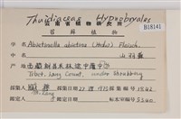 山羽蘚藏品圖，第2張