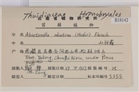 山羽蘚藏品圖，第2張