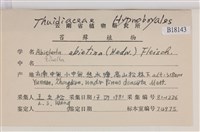 山羽蘚藏品圖，第2張
