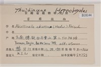 山羽蘚藏品圖，第2張