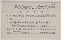 山羽蘚藏品圖，第2張