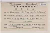 山羽蘚藏品圖，第2張