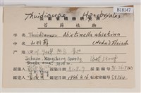 山羽蘚藏品圖，第2張