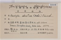 山羽蘚藏品圖，第2張