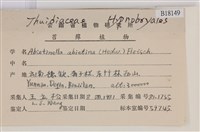 山羽蘚藏品圖，第2張