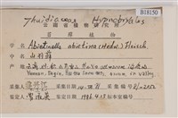 山羽蘚藏品圖，第2張