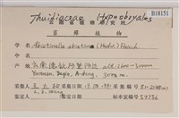 山羽蘚藏品圖，第2張
