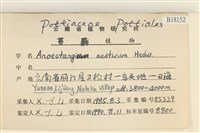館號:B00018152藏品圖，第2張