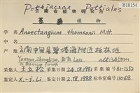 索氏叢本蘚藏品圖，第2張