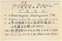 登錄號:B00018155藏品圖，第2張