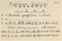 登錄號:B00018159藏品圖，第2張