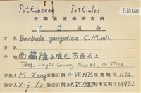 登錄號:B00018160藏品圖，第2張