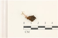 登錄號:B00018160藏品圖，第1張