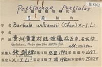登錄號:B00018162藏品圖，第2張