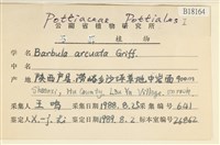 登錄號:B00018164藏品圖，第2張