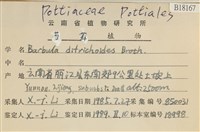 登錄號:B00018167藏品圖，第2張