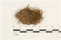 登錄號:B00018170藏品圖，第1張