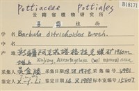 登錄號:B00018171藏品圖，第2張