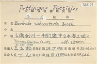 狹葉扭口蘚藏品圖，第2張