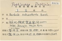 狹葉扭口蘚藏品圖，第2張