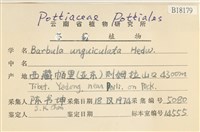 扭口蘚藏品圖，第2張