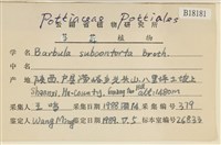 狹葉扭口蘚藏品圖，第2張