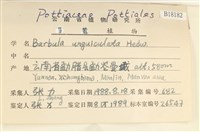 扭口蘚藏品圖，第2張