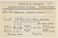 登錄號:B00018184藏品圖，第2張