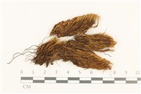 登錄號:B00018184藏品圖，第1張