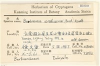 登錄號:B00018185藏品圖，第2張