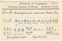 威氏青蘚藏品圖，第2張