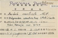 尖葉扭口蘚藏品圖，第2張