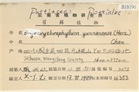 登錄號:B00018196藏品圖，第2張