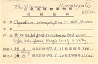 登錄號:B00018206藏品圖，第2張