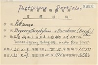 登錄號:B00018332藏品圖，第2張