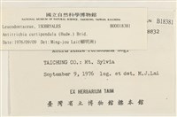 臺灣逆毛蘚藏品圖，第2張