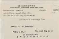 臺灣逆毛蘚藏品圖，第2張